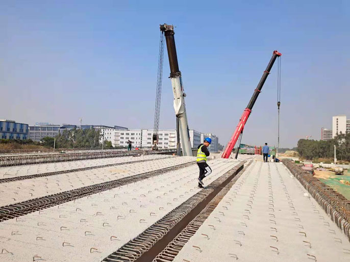  环莞三期高雄路互通主线桥